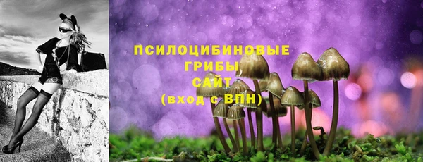 2c-b Балахна