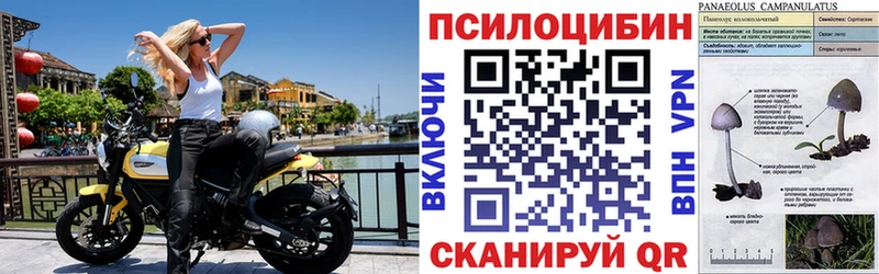 Псилоцибиновые грибы ЛСД  закладка  Вуктыл 